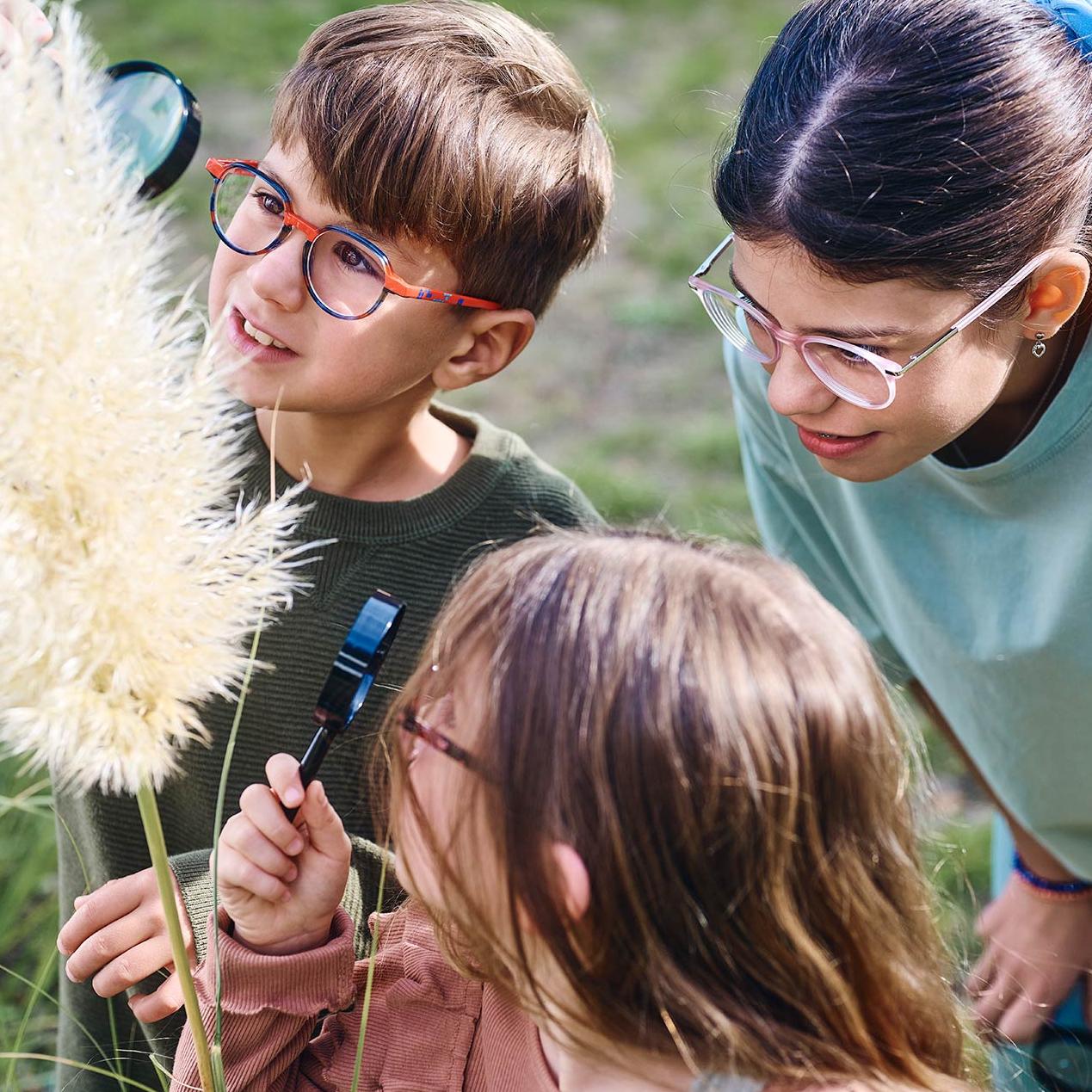 Drei brilletragende Kinder untersuchen mit Lupen Pflanzen in einer naturnahen Umgebung
