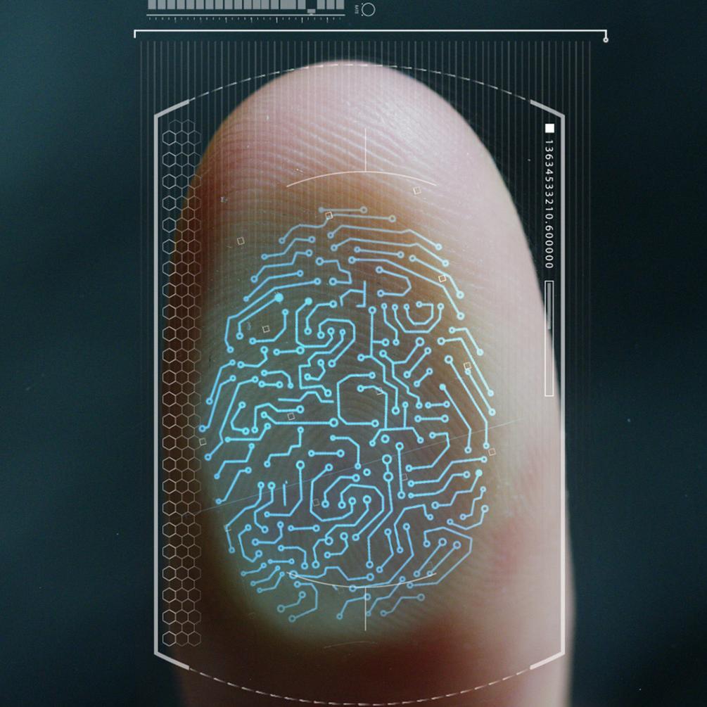 digital fingerprint