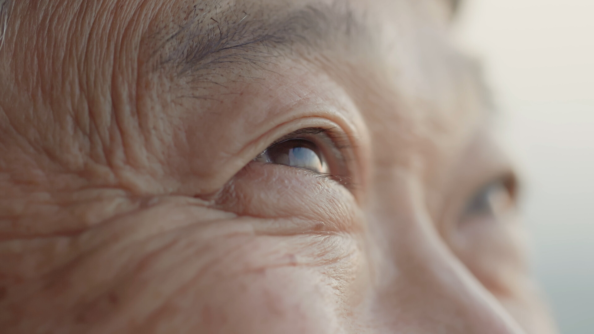 Close-up of human eye area