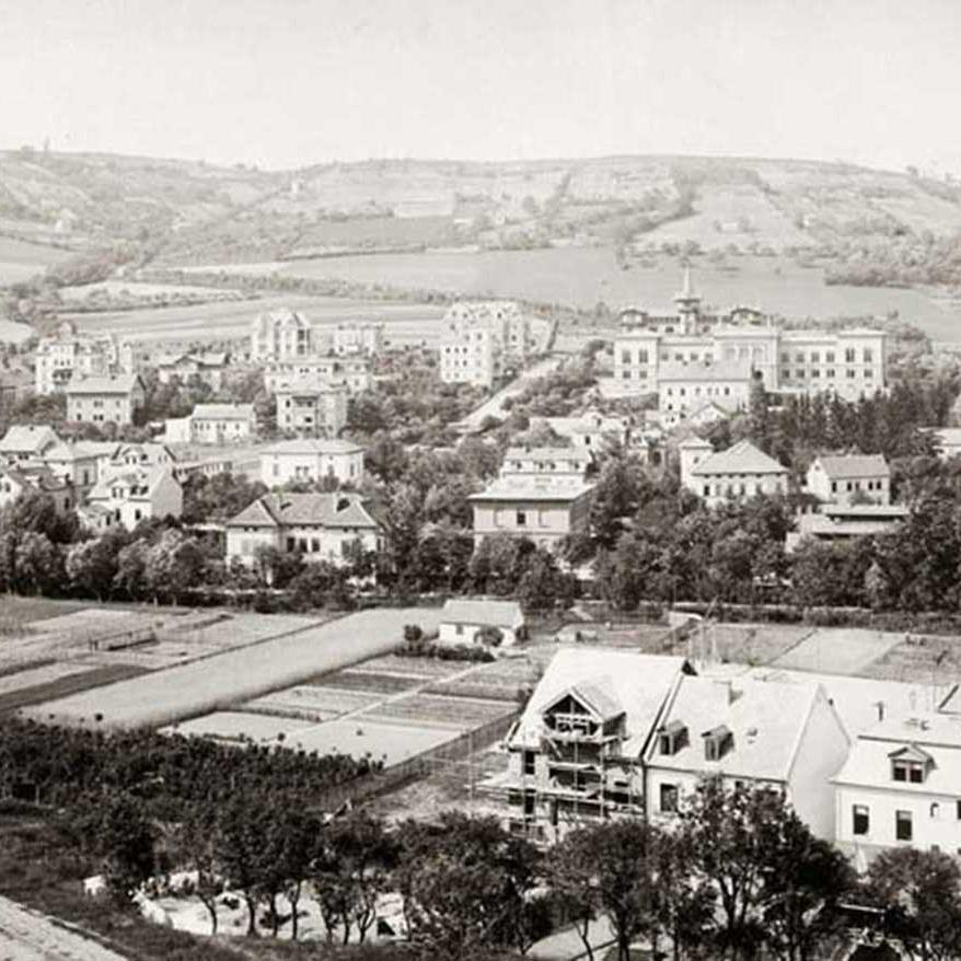 View of Jena to the north (Landgrafen), 1891