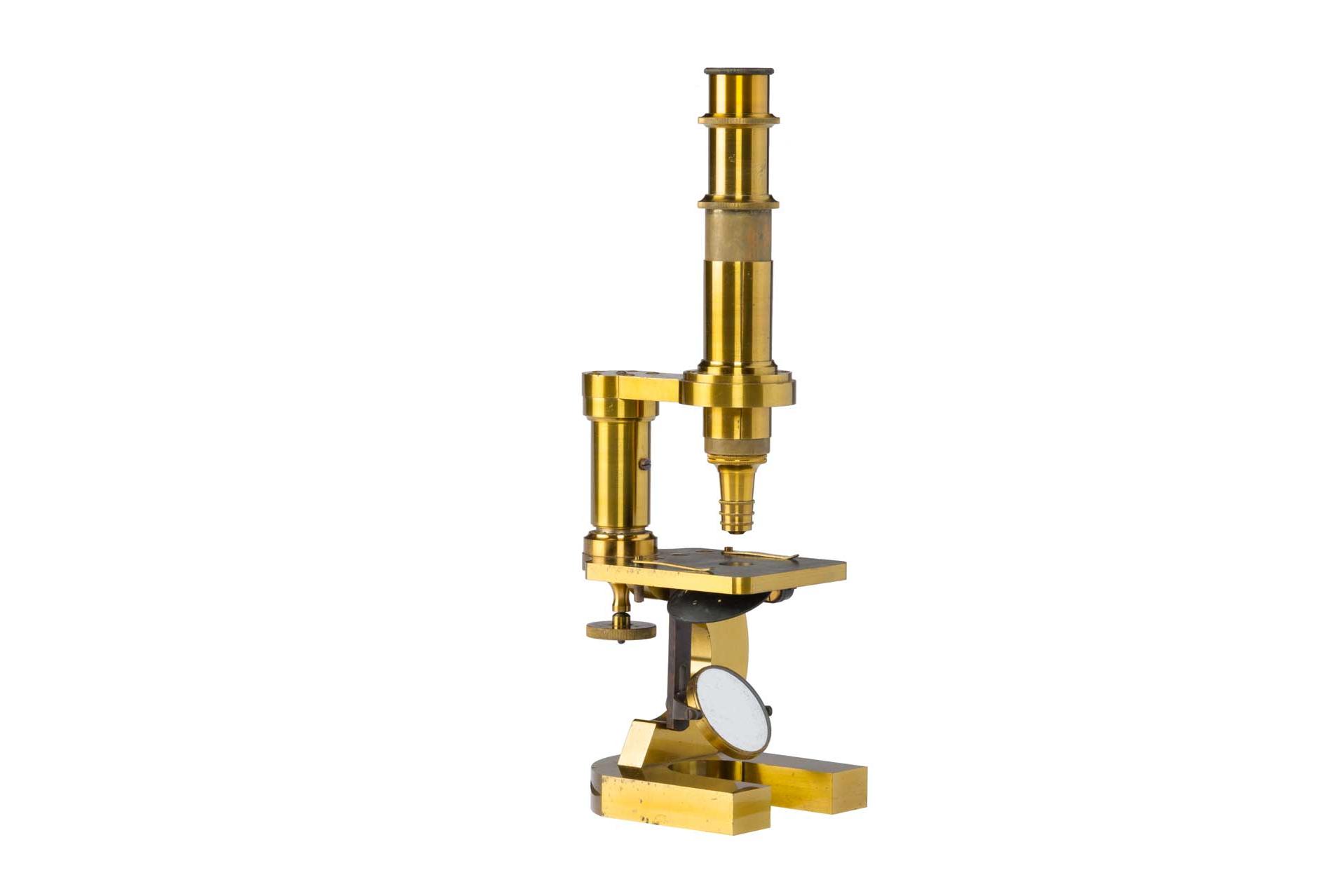 Travel microscope modeled on Strasburger IIIc from 1876 (Mappes collection)