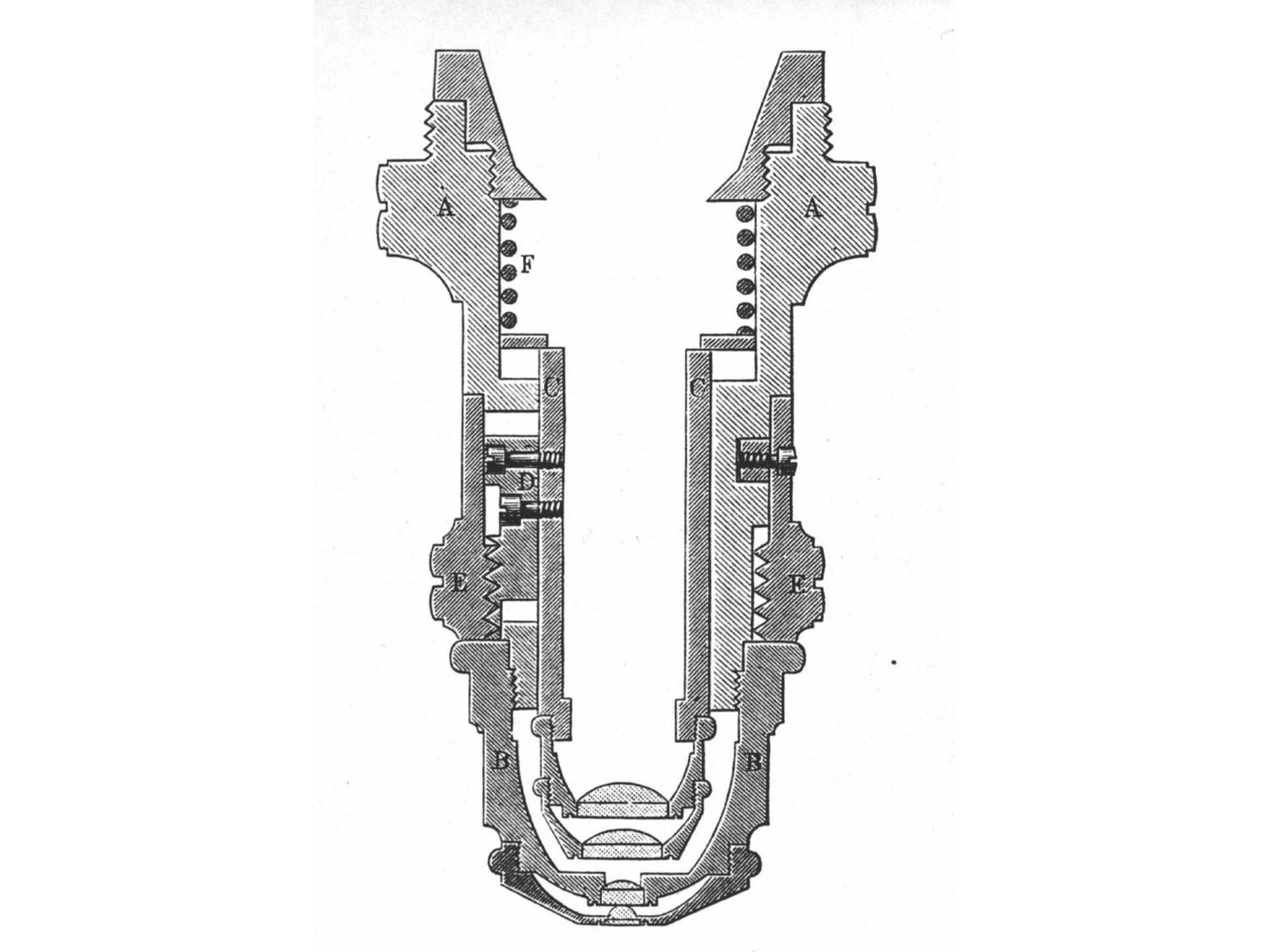 Cross-section of homogeneous immersion (Photo: ZEISS Archives)