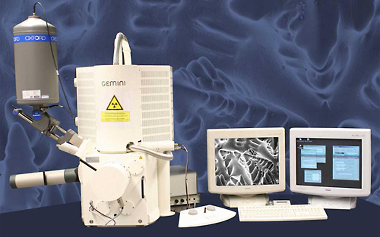 Device from LEO Electron Microscopy