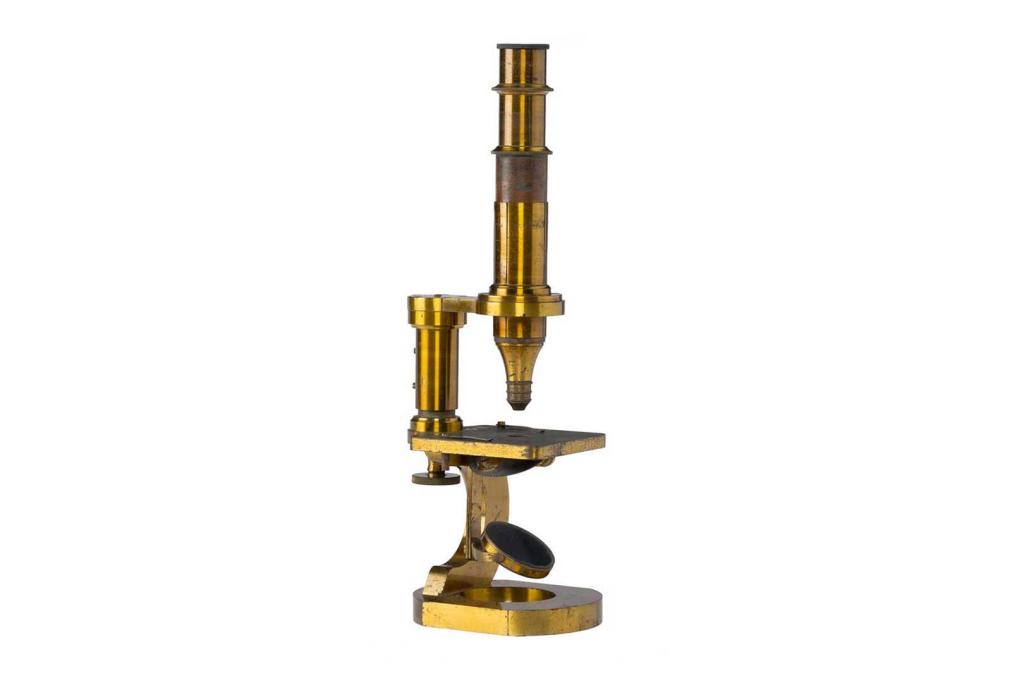 first compound microscope image