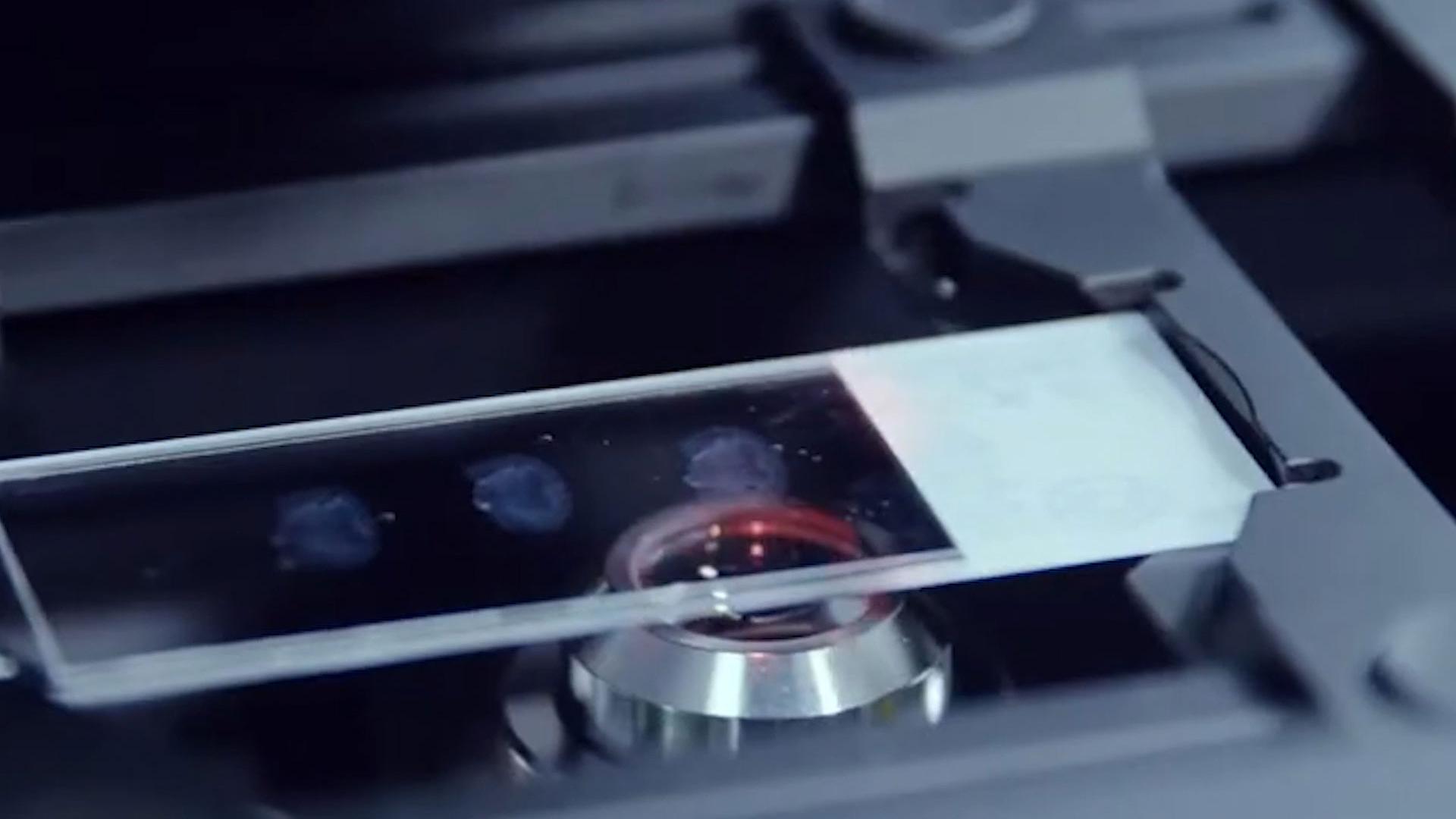 ZEISS CAD Systems