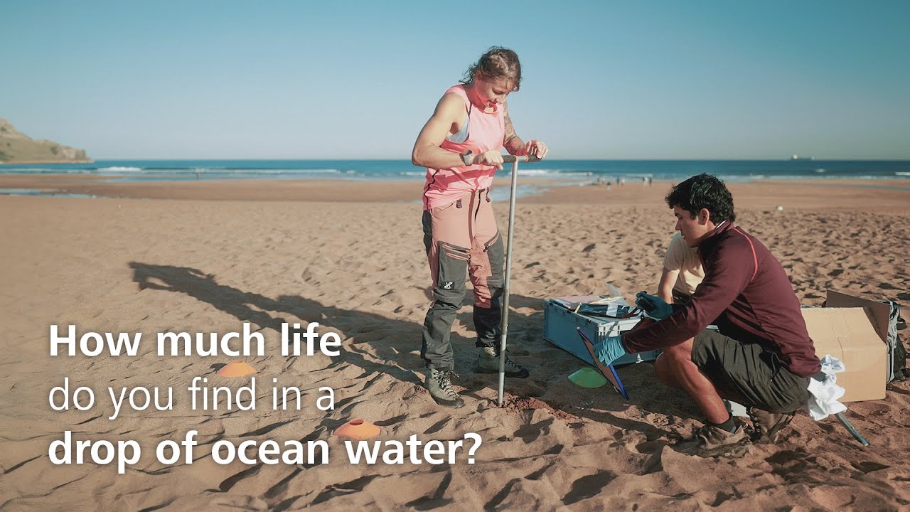 Researchers taking soil samples on a beach