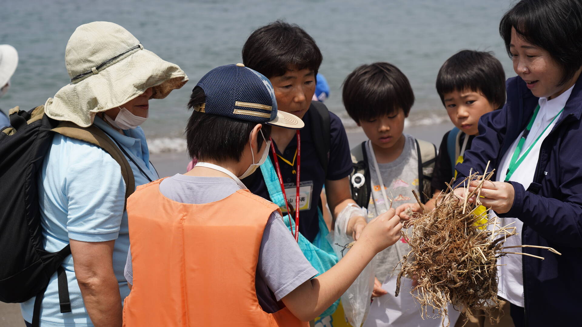 Children learn more about animals and plants on the beach