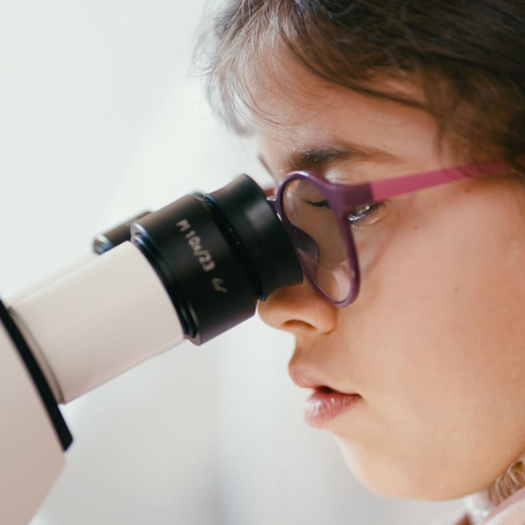ZEISS Promotion Fund
