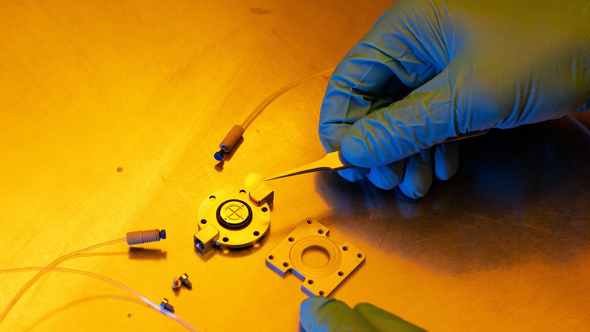 Mayer uses tweezers to place the cover glass in the chamber.