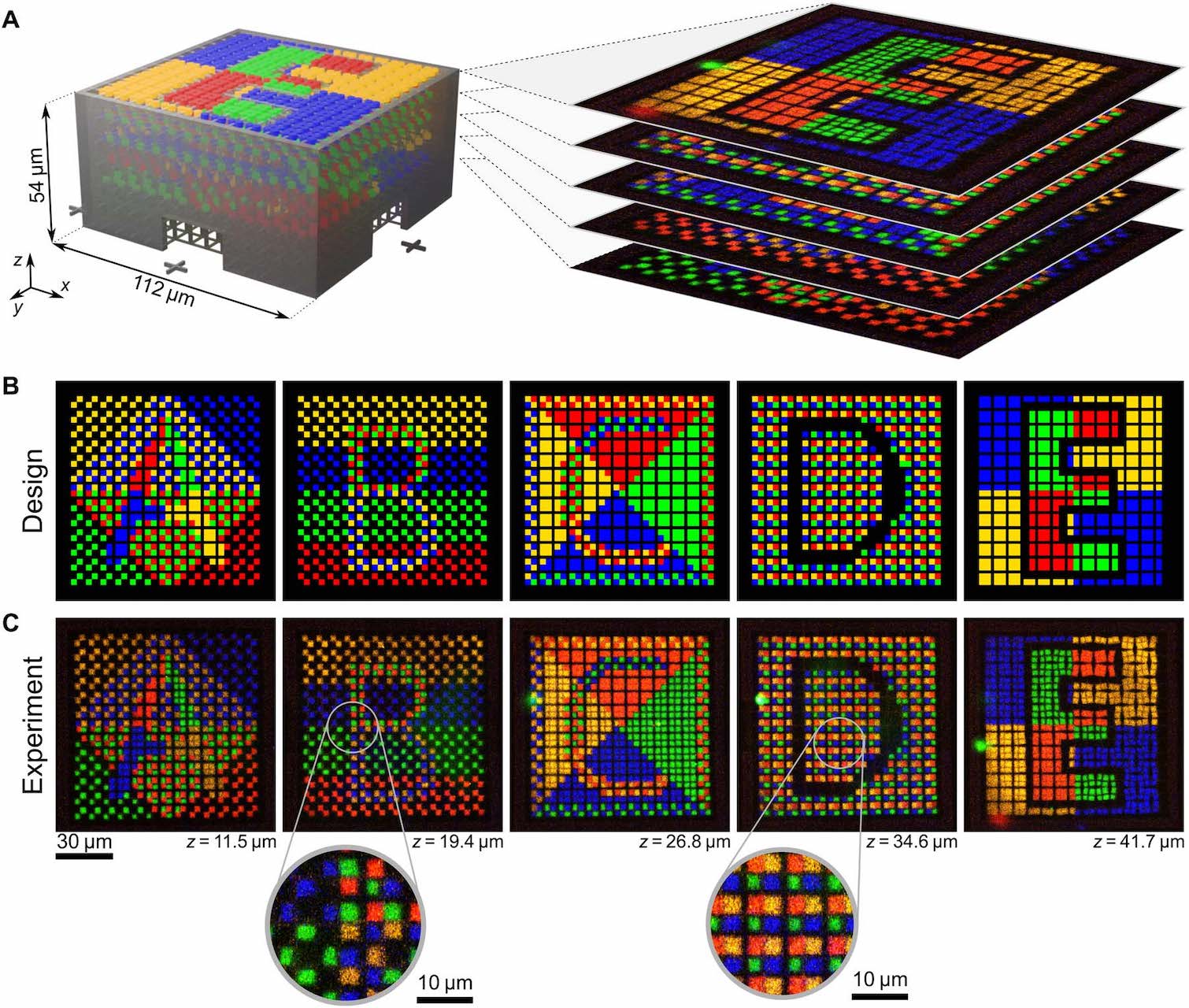 A computer rendering of the microstructure design and a stack of images taken using fluorescence microscopy show the level of detail at which different photoresist structure elements can be printed. Adapted from: Frederik Mayer, Stefan Richter, Johann Westhauser, Eva Blasco, Christopher Barner-Kowollik, Martin Wegener: Multimaterial 3D laser microprinting using an integrated microfluidic system. Science Advances, 2019. DOI: 10.1126/sciadv.aau9160 Under Creative Commons Attribution License 4.0 (CC BY).