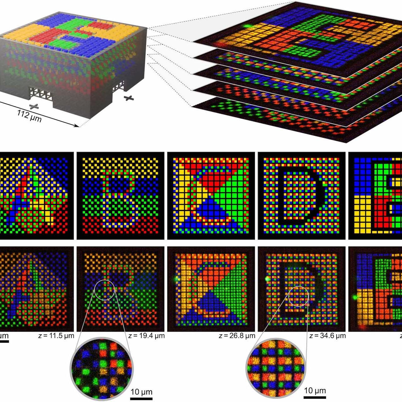 A computer rendering of the microstructure design and a stack of images taken using fluorescence microscopy show the level of detail at which different photoresist structure elements can be printed. Adapted from: Frederik Mayer, Stefan Richter, Johann Westhauser, Eva Blasco, Christopher Barner-Kowollik, Martin Wegener: Multimaterial 3D laser microprinting using an integrated microfluidic system. Science Advances, 2019. DOI: 10.1126/sciadv.aau9160 Under Creative Commons Attribution License 4.0 (CC BY).