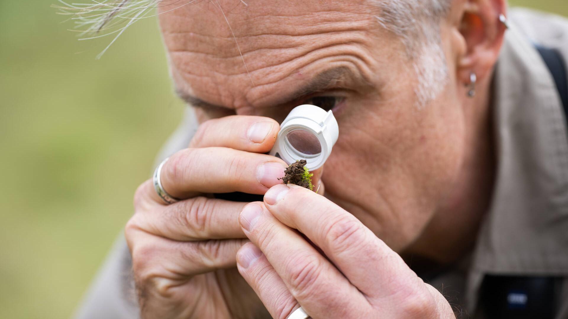 Nick Baker looks at a sample of moss through a small magnifying glass.