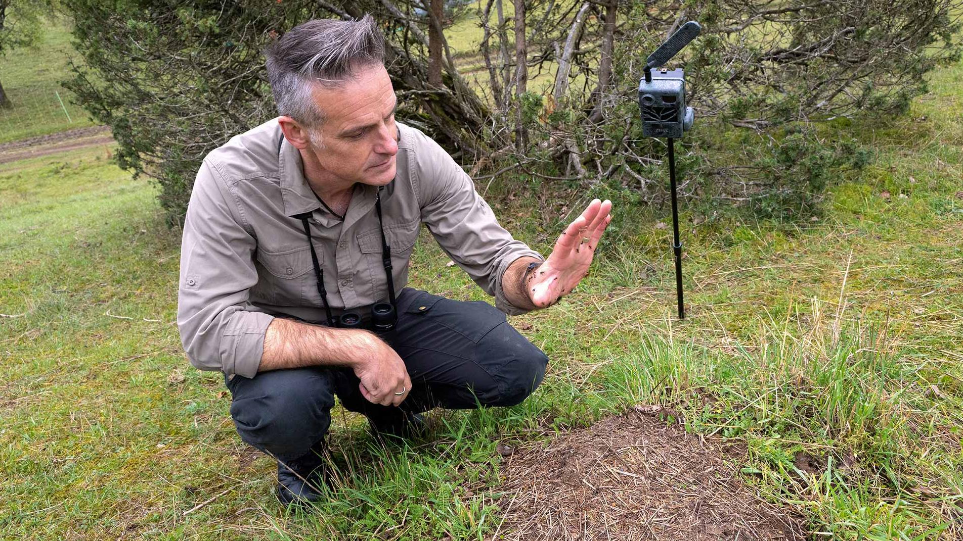 Nick Baker is perched next to a formicary with this hand lying on top of the nest. Several ants are climbing over his hand. Next to Nick there is a Zeiss Secacam positioned on a monopod to monitor the formicary.