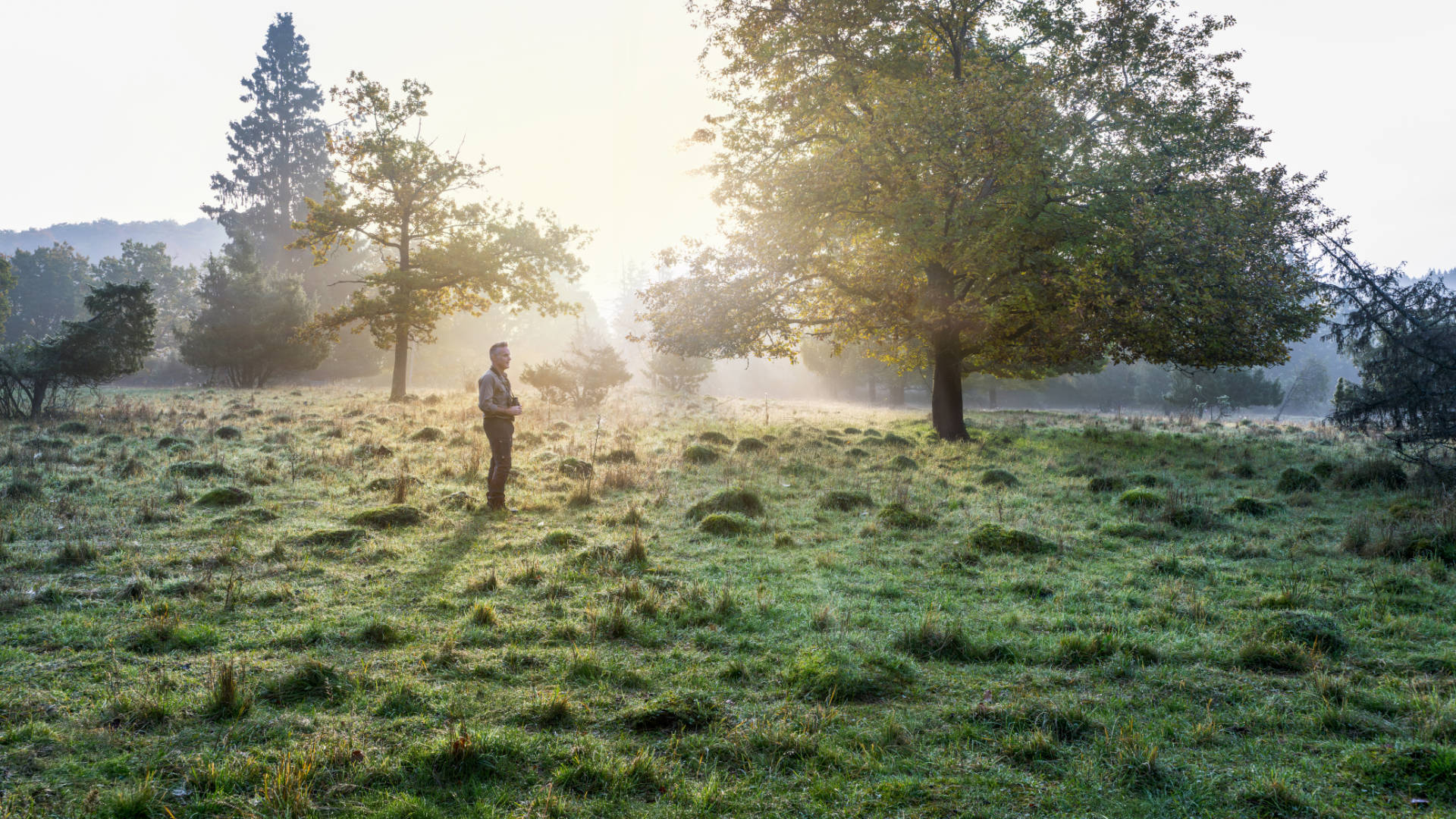 Nick Baker is standing in meadow. The surroundings are partially hidden by early morning fog which is illuminated by the rising sun.