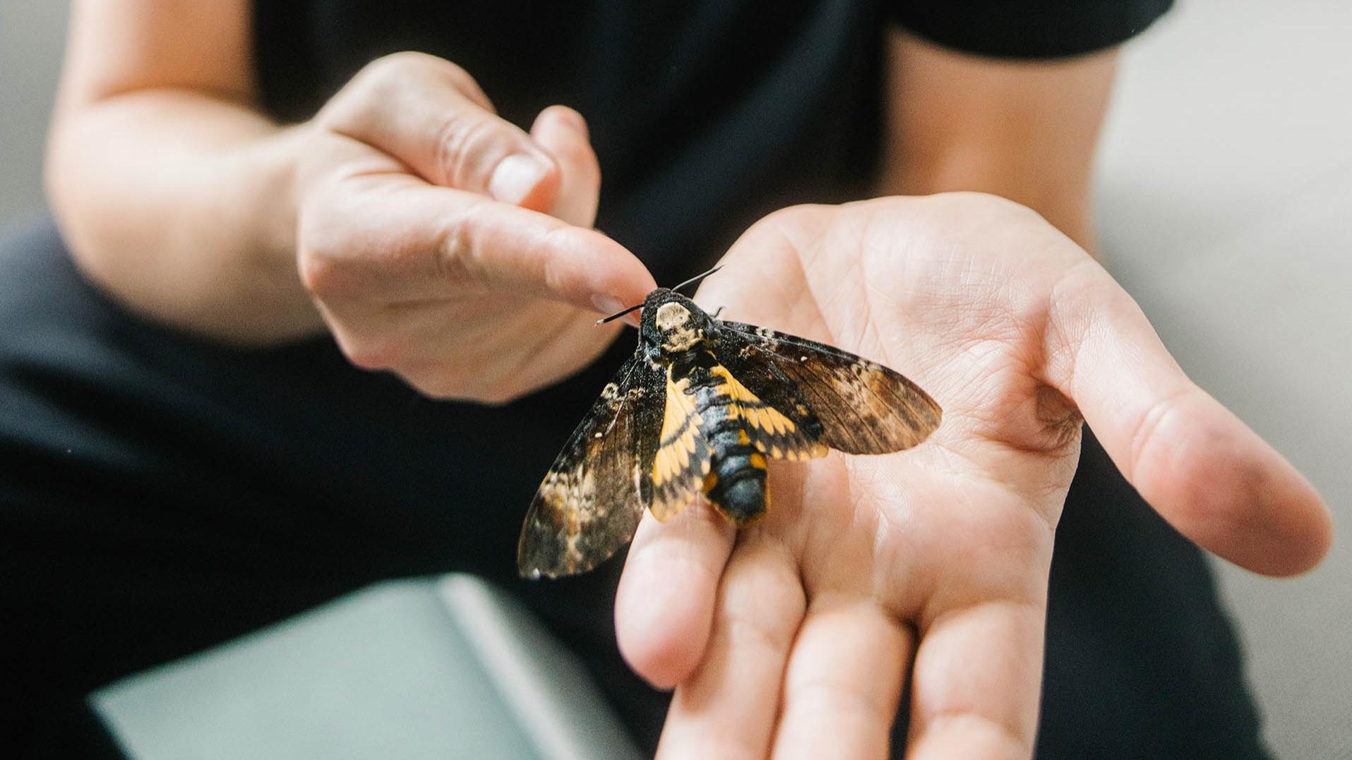 Dominik Eulberg is a DJ, biologist and bird-watcher