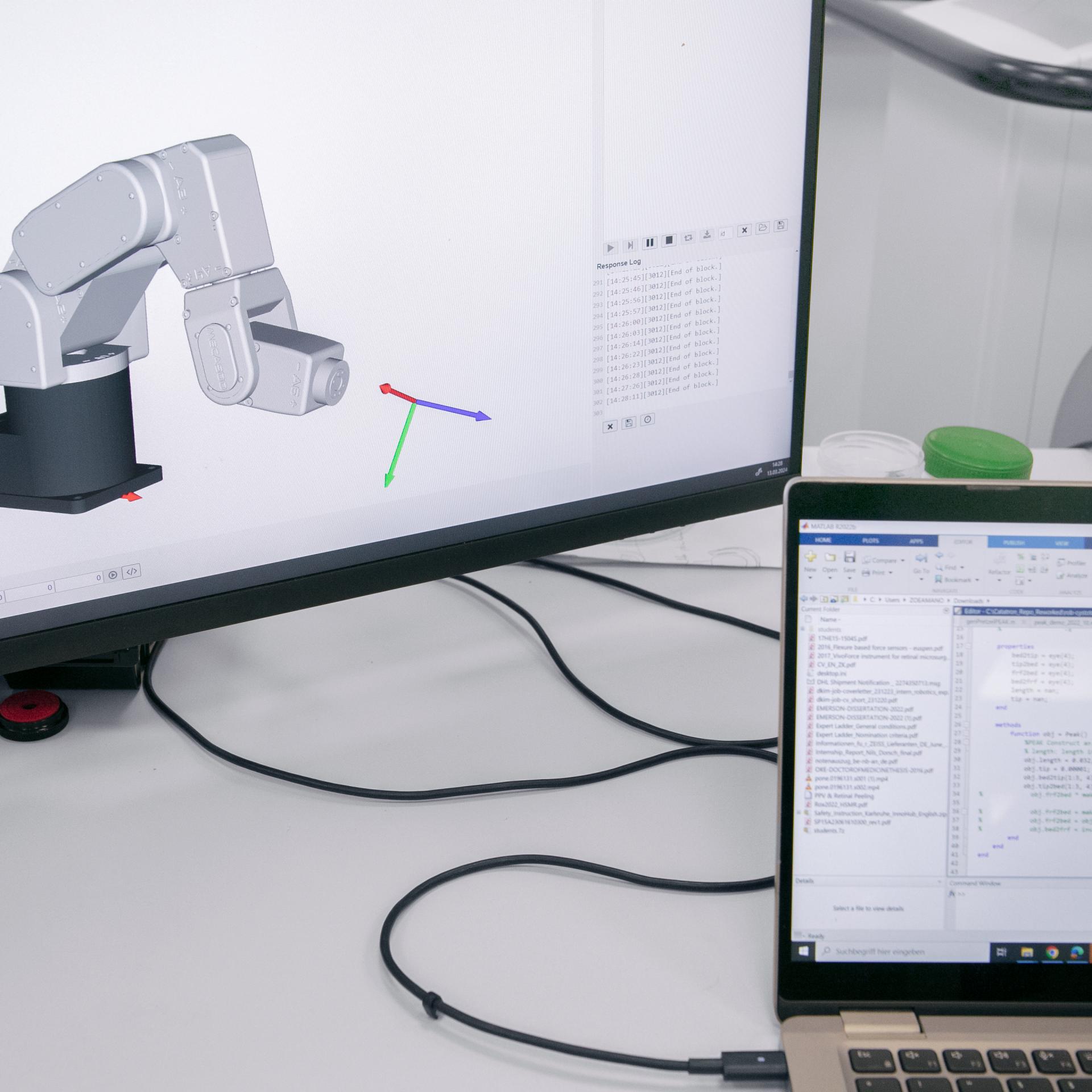 Area of medical robotics