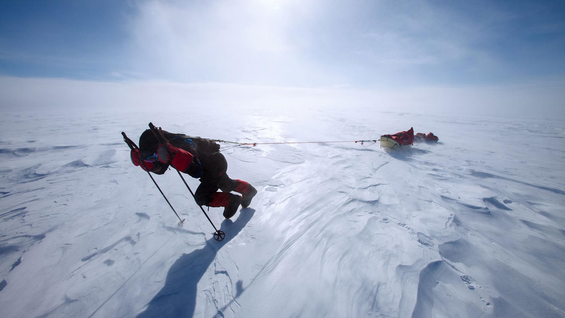 Sebastian Copeland,  award-winning photographer, adventurer and environmental advocate.