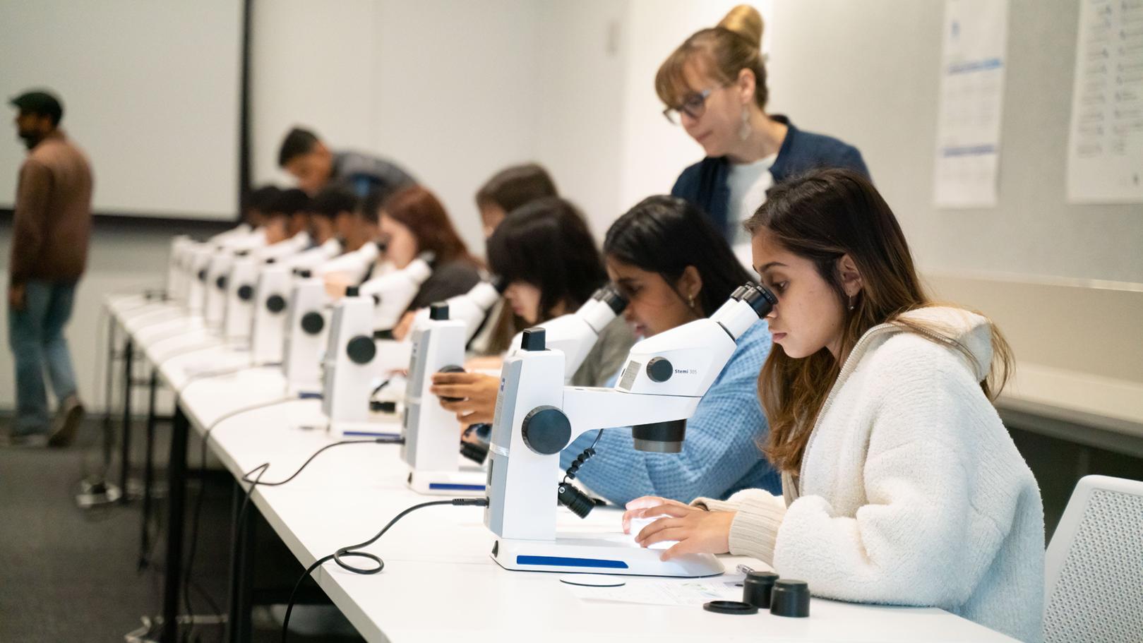 Students sitting in a raw and looking through ZEISS Stemi microscopes