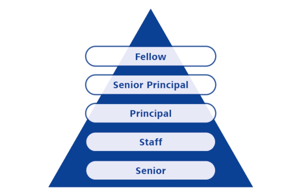 A blue diagram in the shape of a pyramid, representing different career or skill levels. The levels, from bottom to top, are: Senior, Staff, Principal, Senior Principal, and Fellow.