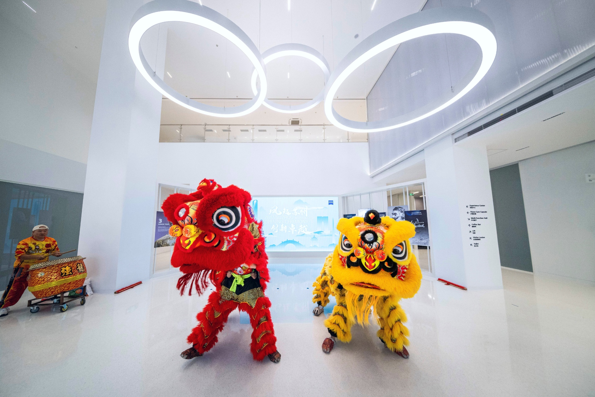 Chinesische Löwen (rot und gelb) führen einen traditionellen Tanz auf.