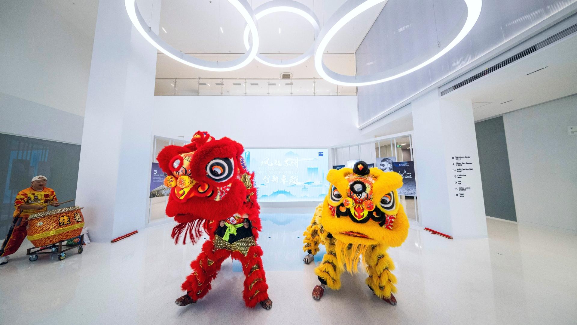Chinesische Löwen (rot und gelb) führen einen traditionellen Tanz auf.