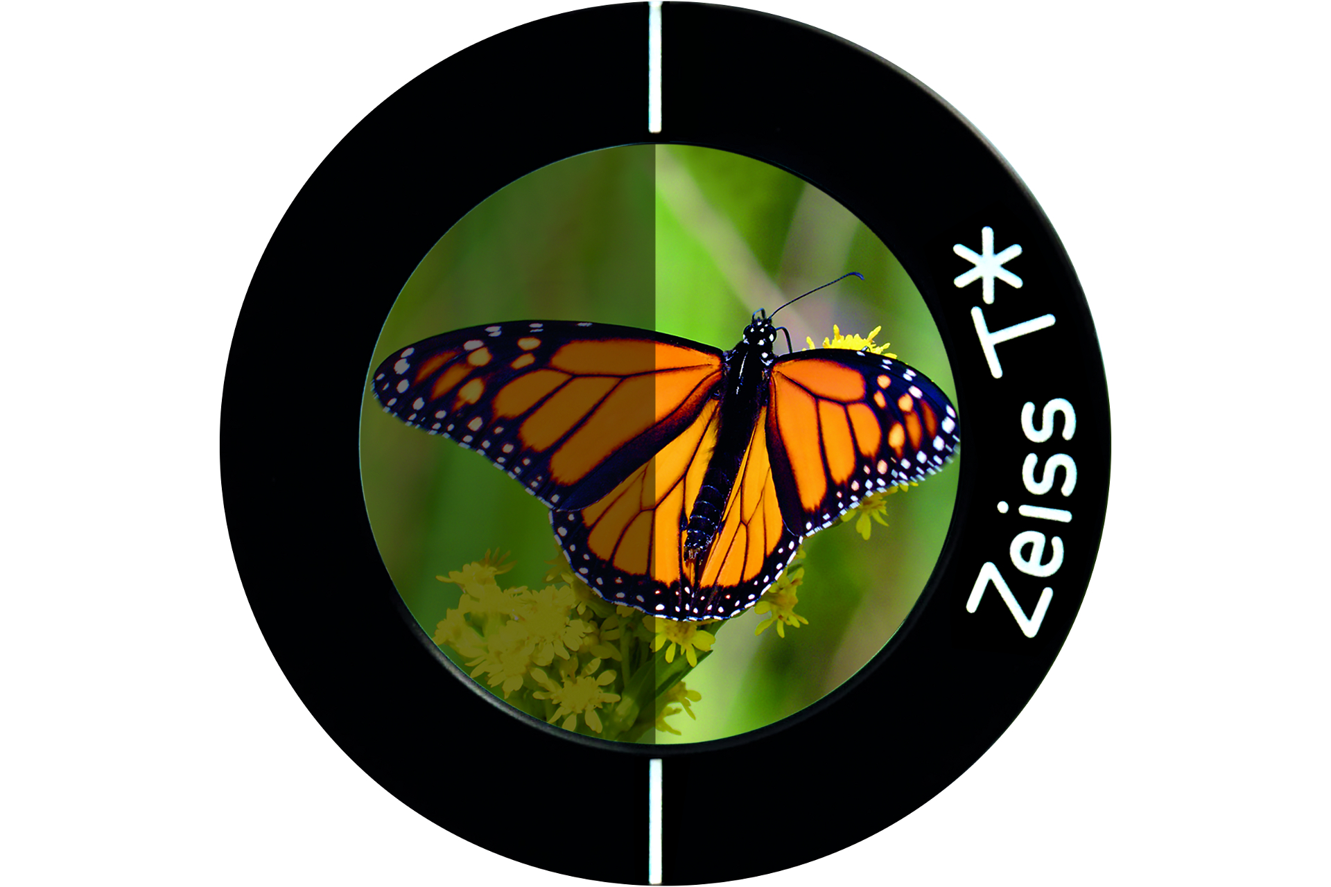 R&D Competencies | ZEISS Mobile Imaging R&D Competencies | ZEISS Mobile Imaging