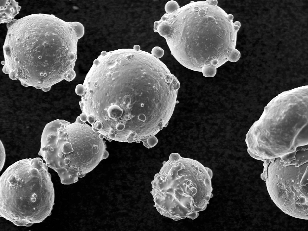 Characterization and chemical composition of raw powder