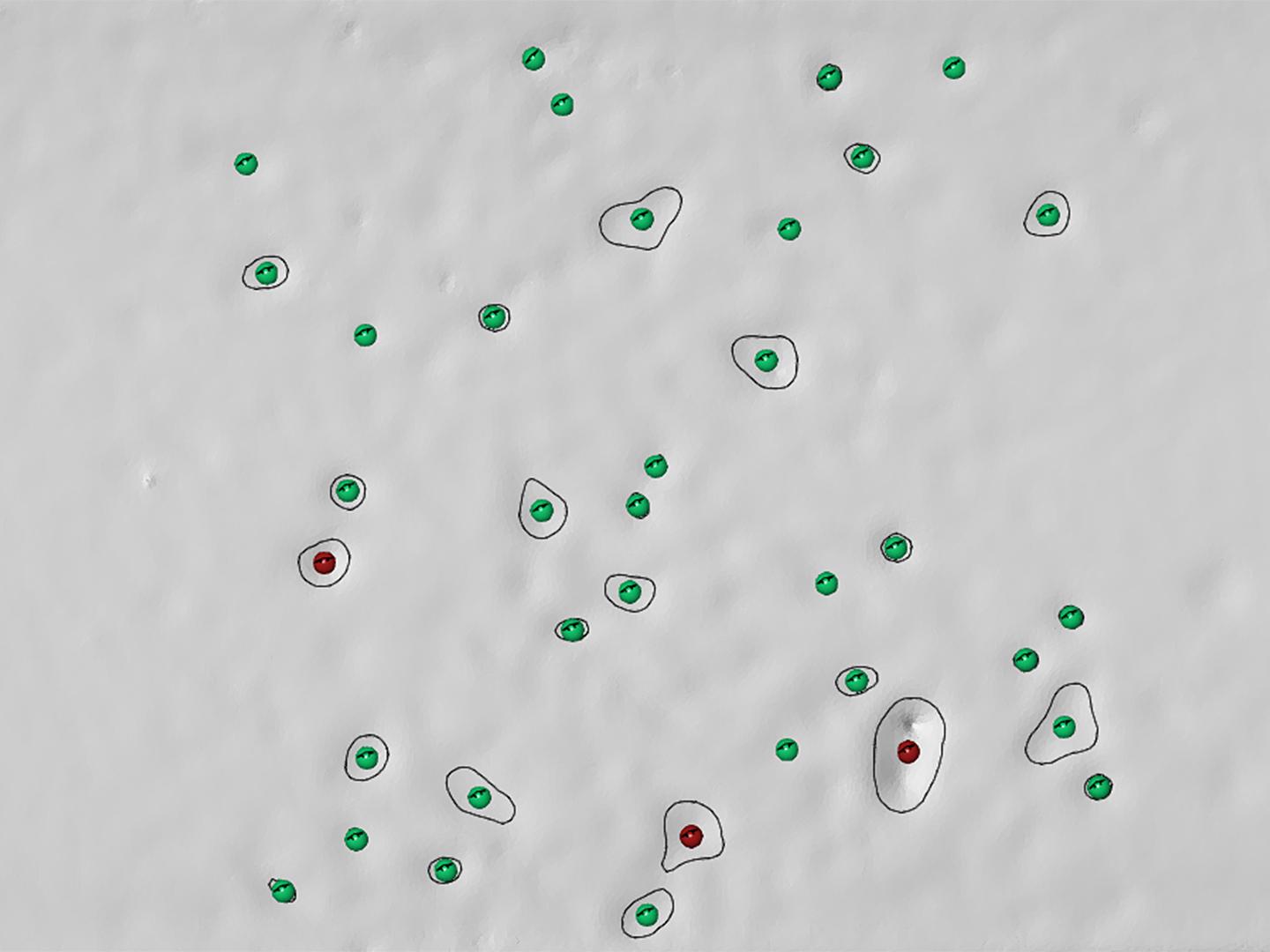 Microscopic image showing numerous green and red circular markers with contour lines, captured using ZEISS imaging technology.