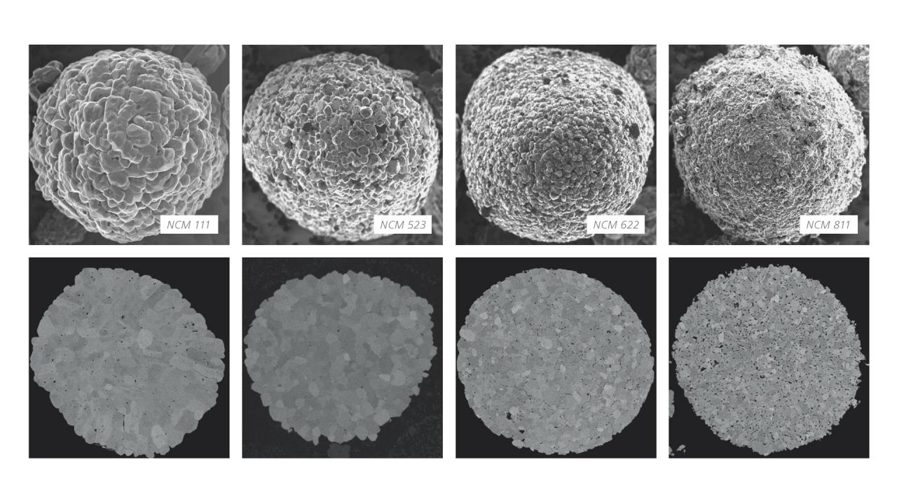 ZEISS GeminiSEM: Field emission scanning electron microscope, high-end ...