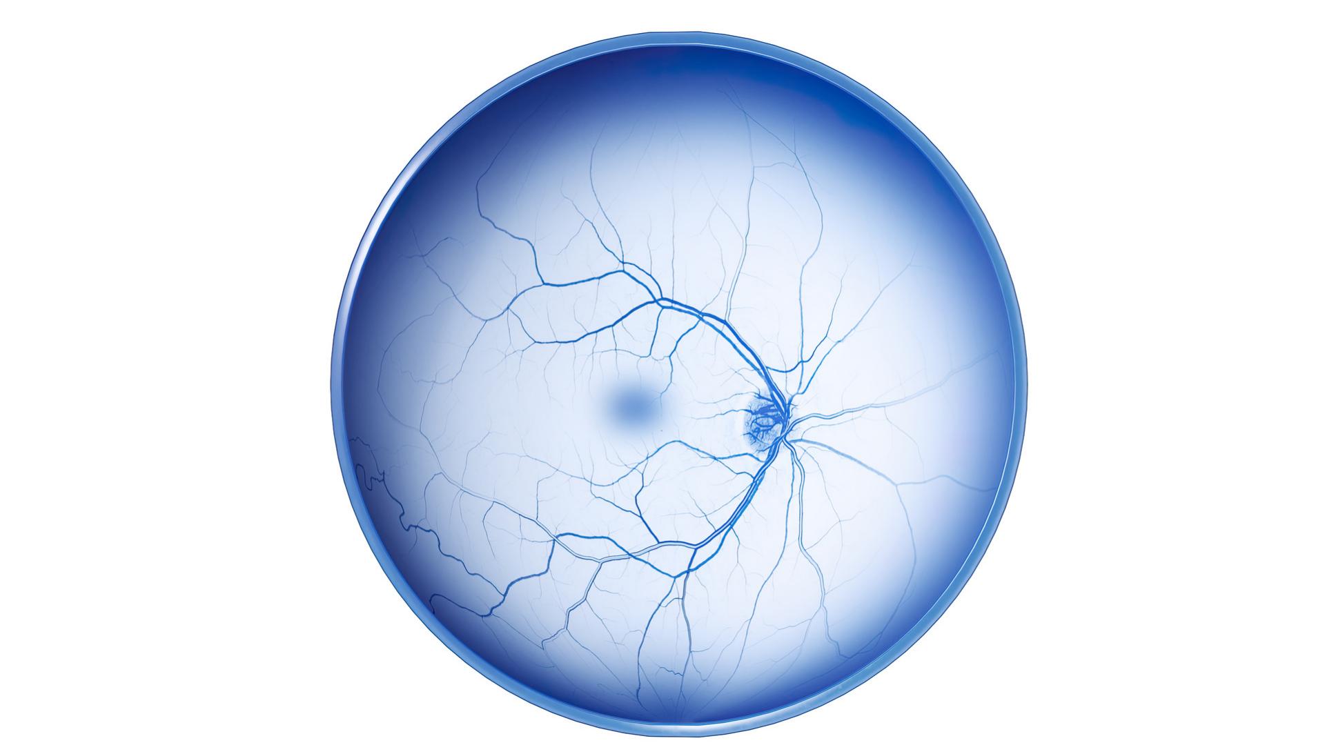ZEISS Retina Workflow