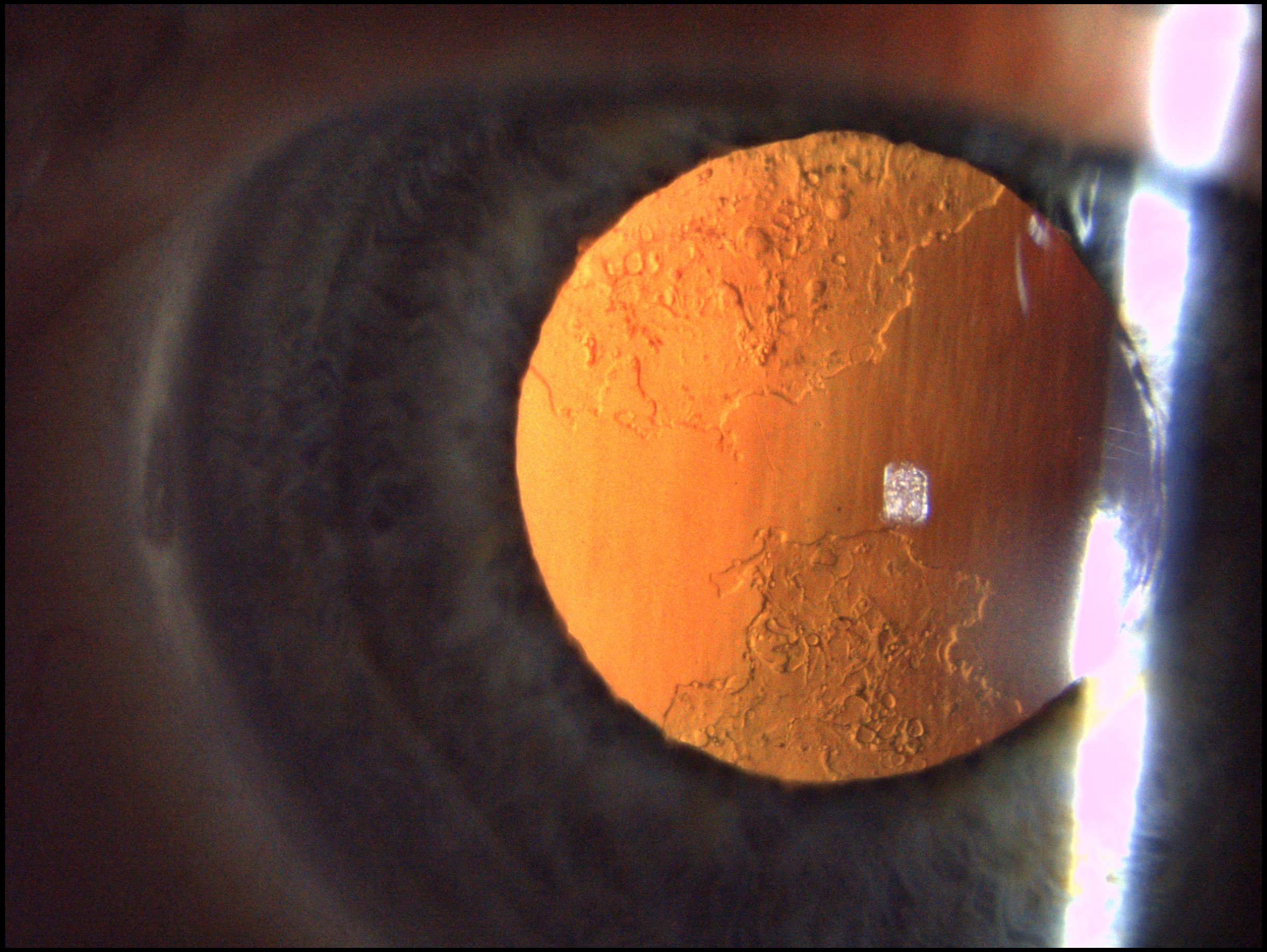 ZEISS SL 800 — Что видно на снимках с SL 800 — фото 2