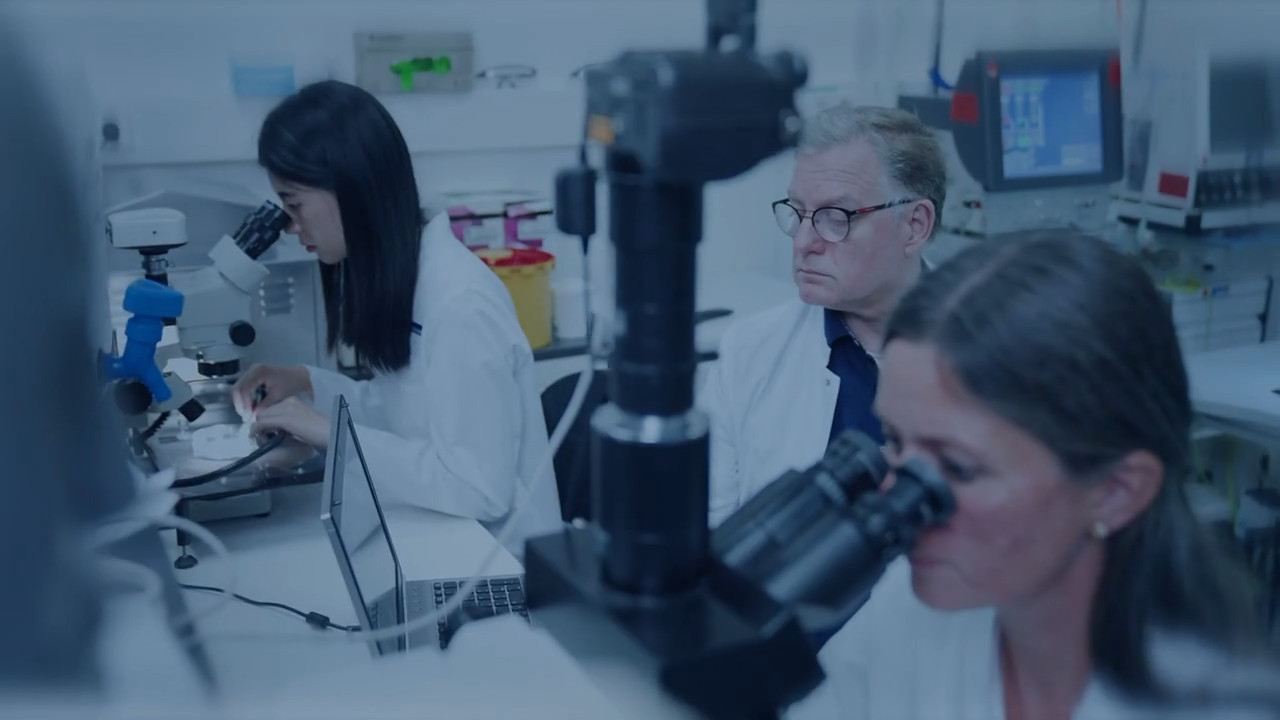 Resultados de teste ótico de referência de ZEISS AT ELANA 841P