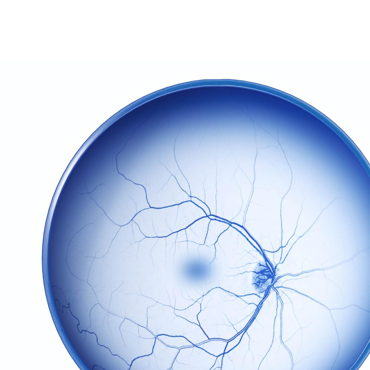 ZEISS Retina Workflow | ZEISS Medical Technology