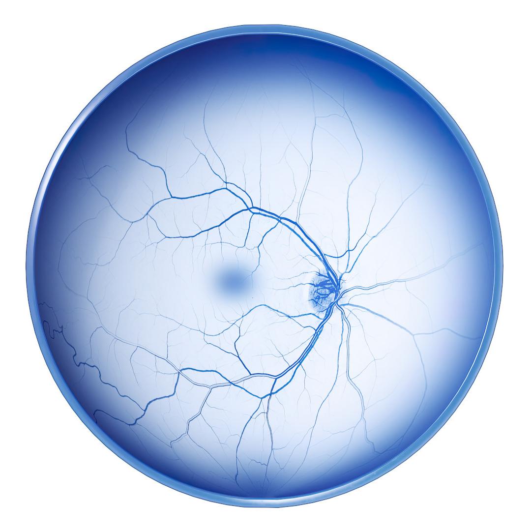 ZEISS Retina Workflow Redefined
