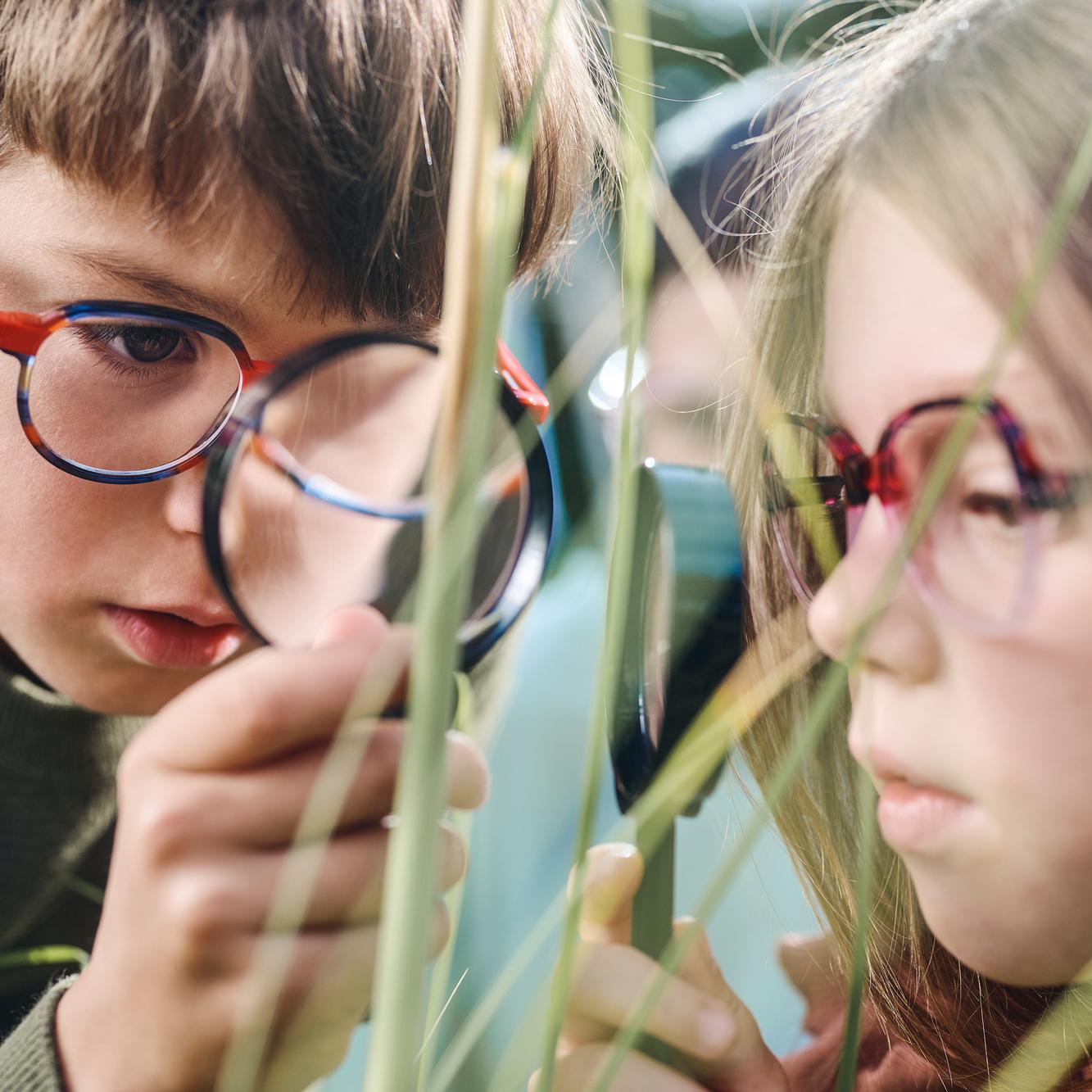 ZEISS Vision Care
