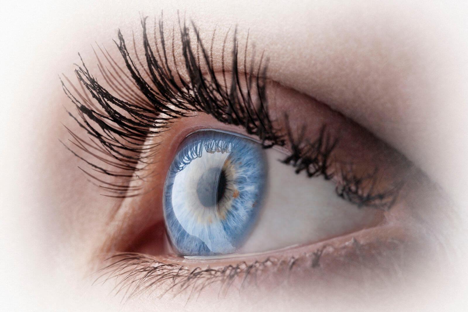 Closeup of a blue eye.