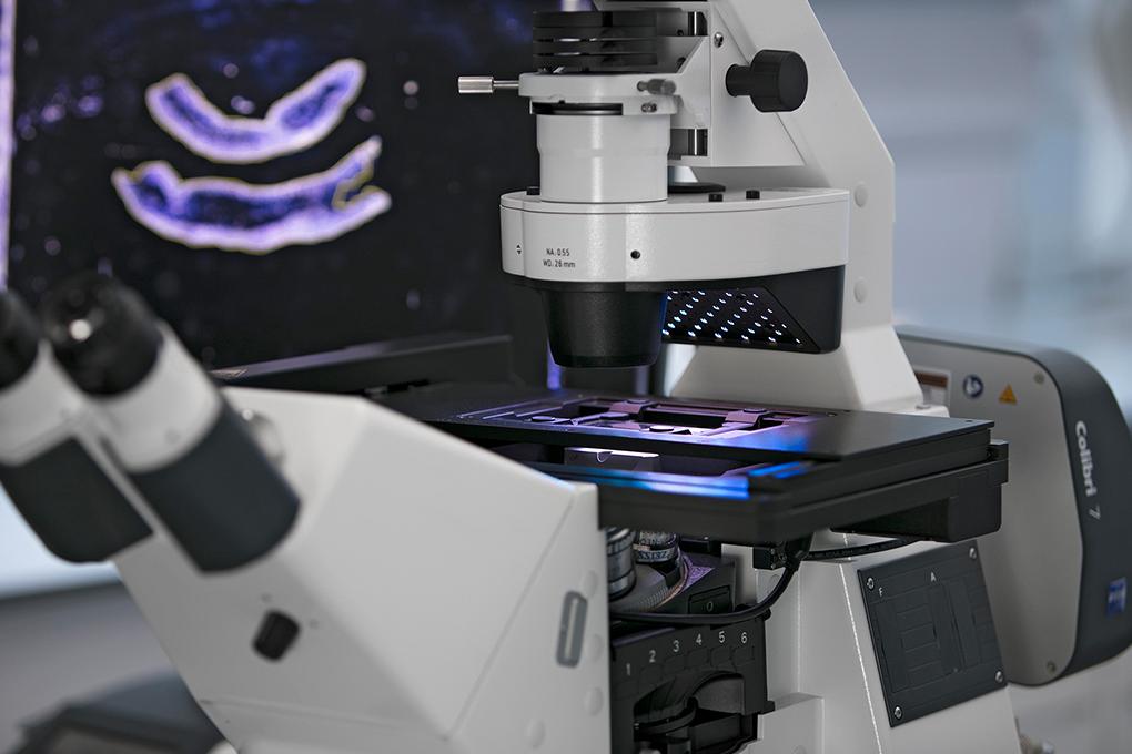 ZEISS AI Sample Finder automates the entire sequence from sample placement and focus adjustment to the identification of relevant sample areas.