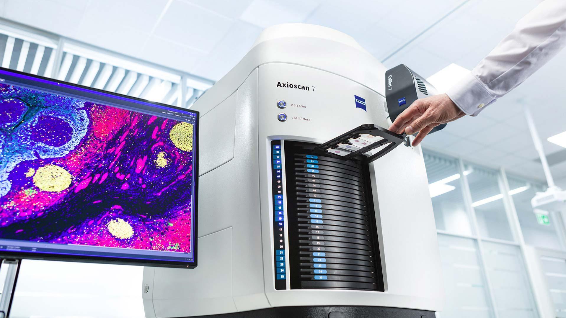 ZEISS Axioscan 7 für biowissenschaftliche Anwendungen