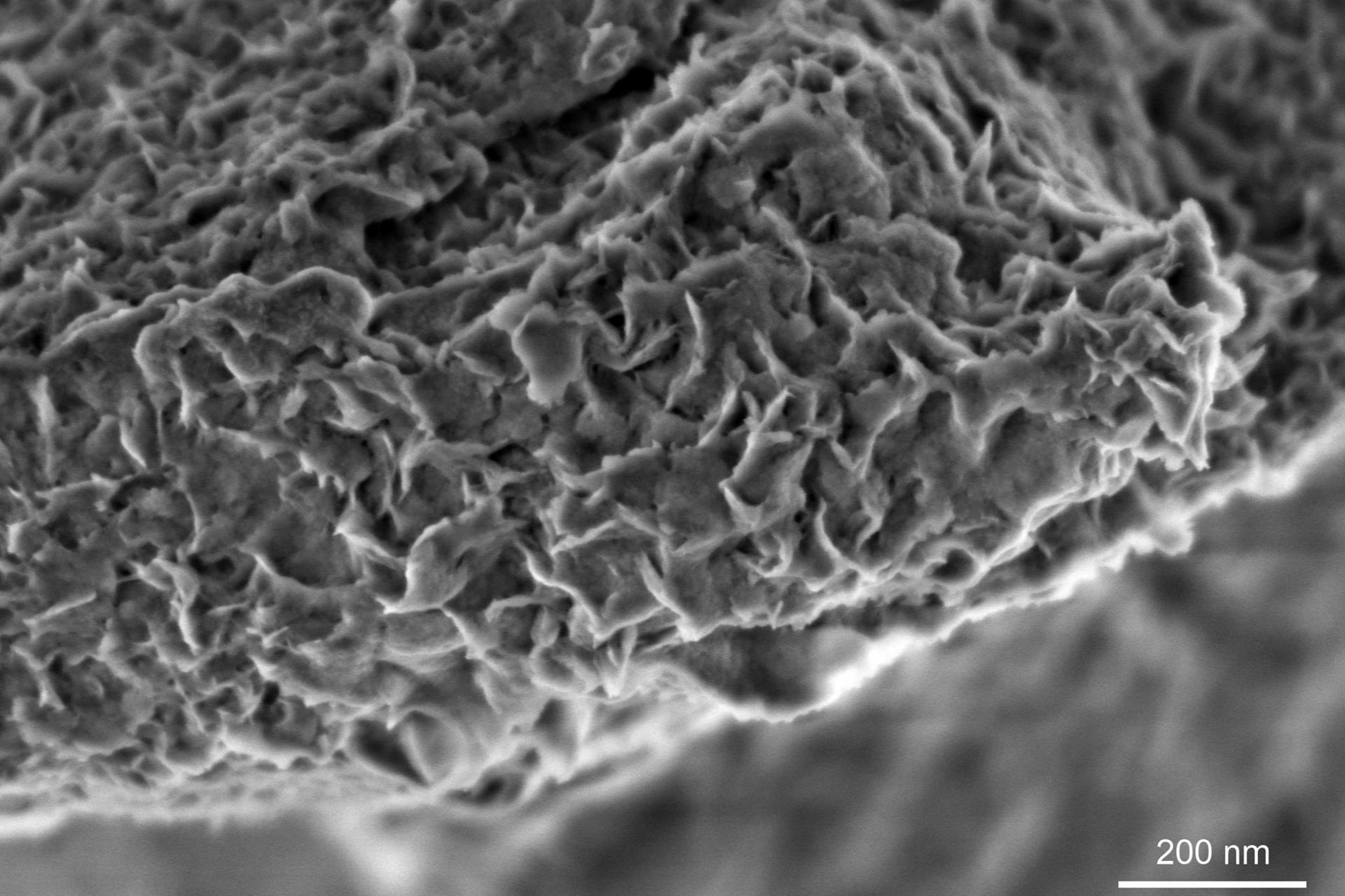 Nanometer-skalierte Merkmale auf einer aufgebrochenen Oberfläche eines nicht leitenden Minerals, Montmorillonit, sichtbar gemacht mit niedriger Landeenergie, ZEISS GeminiSEM 560, Inlens SE-Bild, 800 V, Maßstab 200 nm
