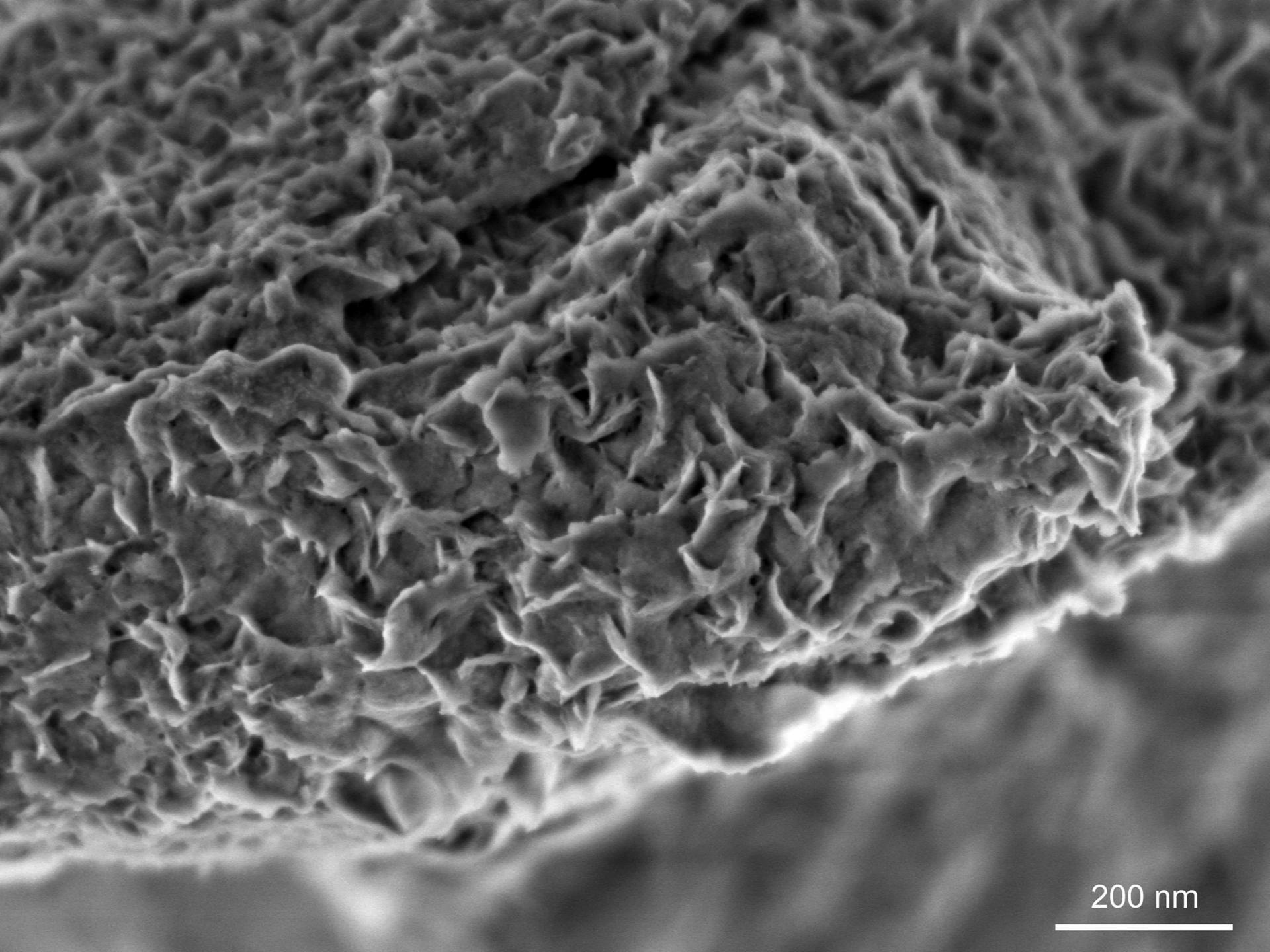 Nanometer-skalierte Merkmale auf einer aufgebrochenen Oberfläche eines nicht leitenden Minerals, Montmorillonit, sichtbar gemacht mit niedriger Landeenergie, ZEISS GeminiSEM 560, Inlens SE-Bild, 800 V, Maßstab 200 nm