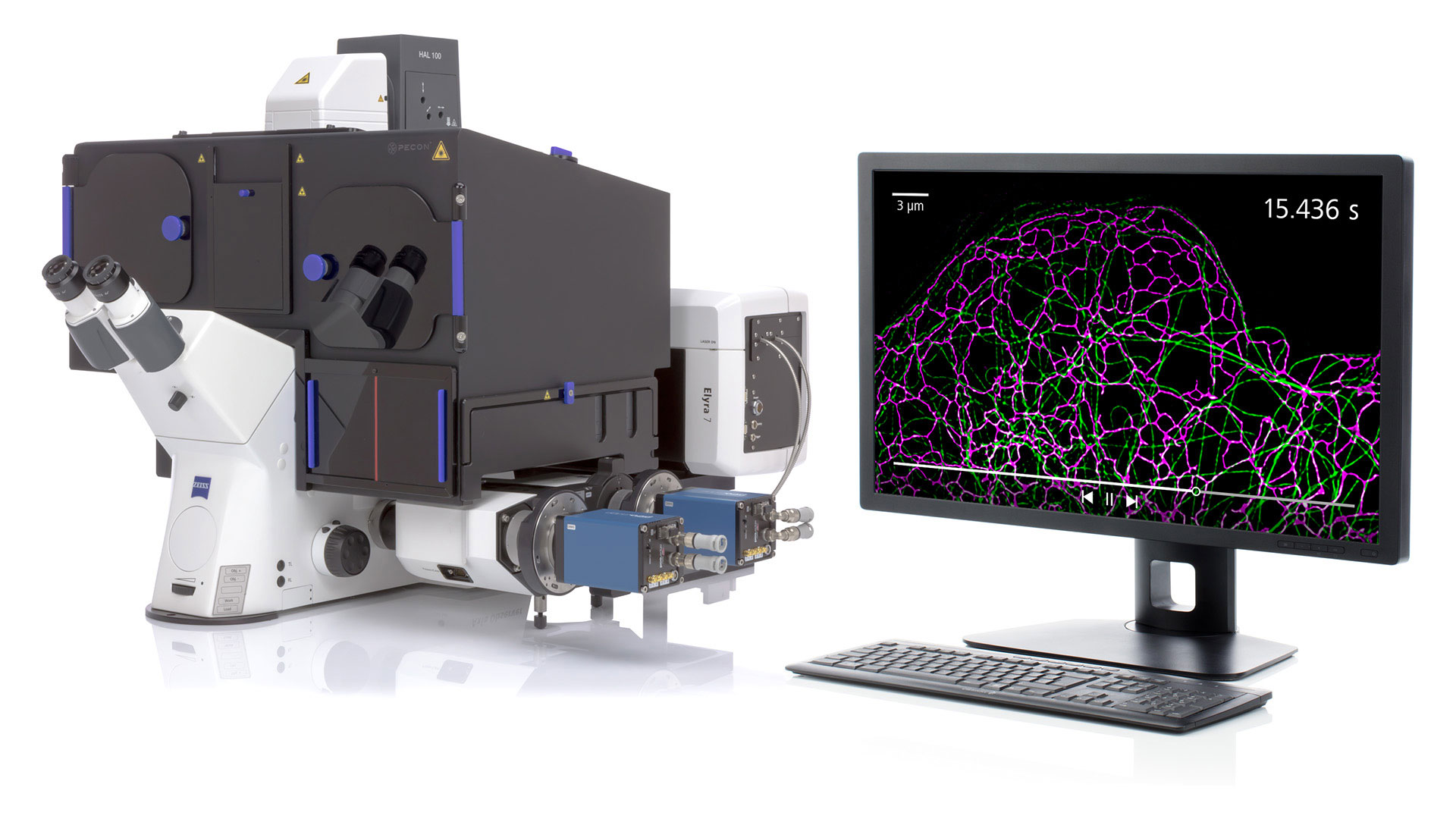 Mit dem SIM² Algorithmus zur Bildrekonstruktion kann auf dem Mikroskopsystem ZEISS Elyra 7 die herkömmliche SIM-Auflösung verdoppelt werden.