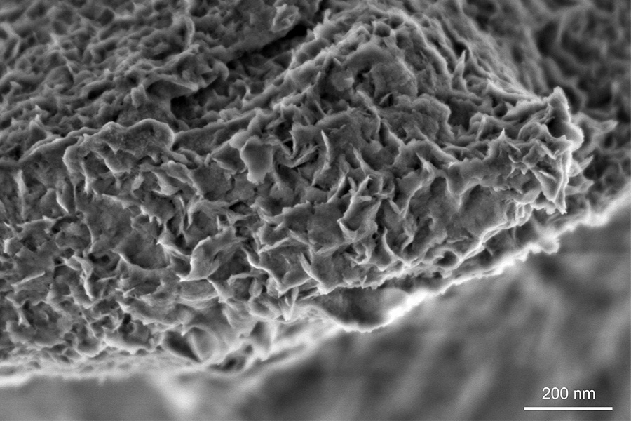 Nanometer-scaled features on the fractured surface of a non-conductive mineral, montmorillonite, visualized at low landing energy, ZEISS GeminiSEM 560, Inlens SE image, 800 V, scale bar 200 nm.