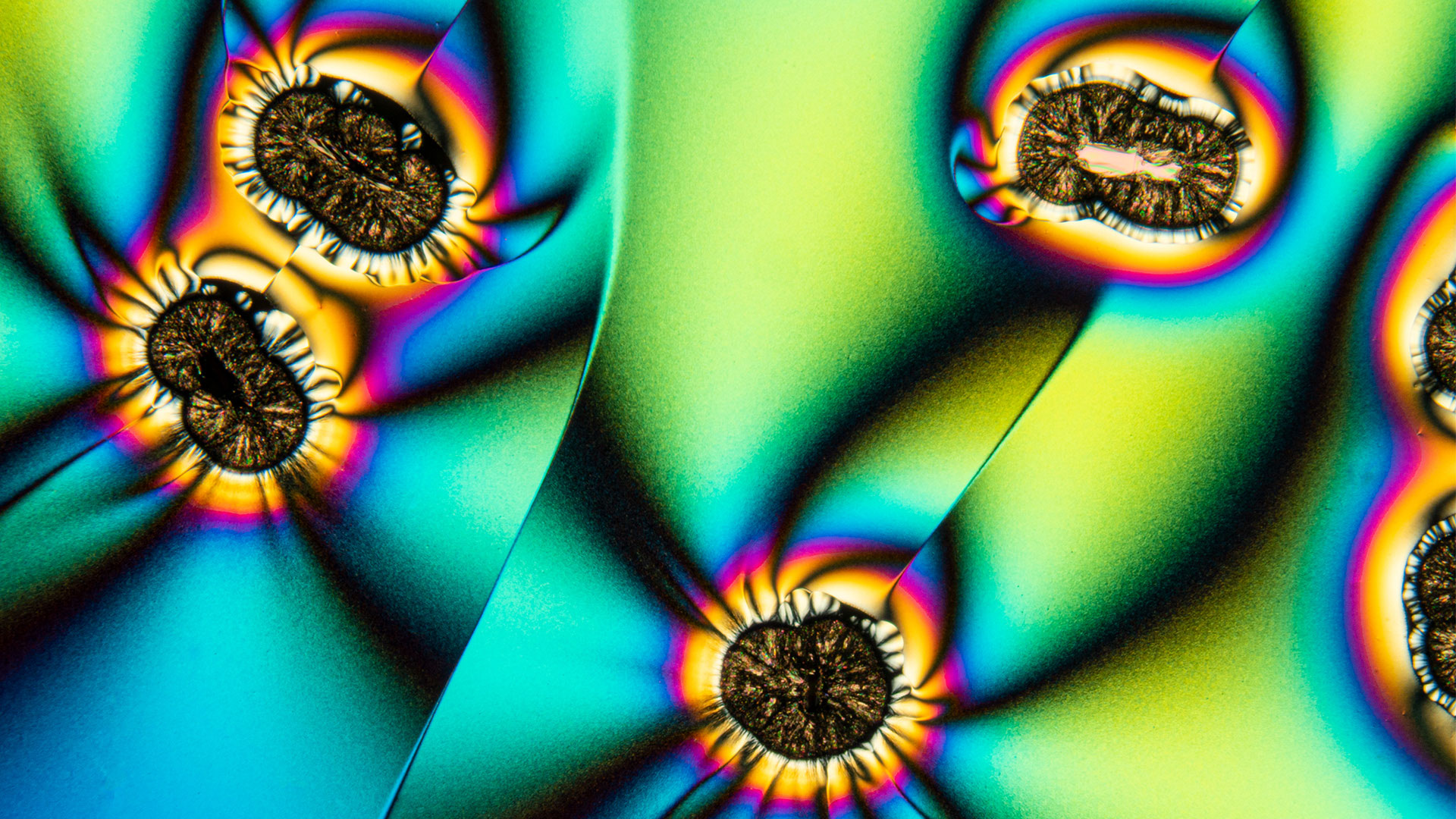Winning image in the category of Education: "Vitamin C crystals", acquired with ZEISS Axio Scope.A1. Courtesy: R. Berdan, Science & Art Multimedia, Calgary, Canada