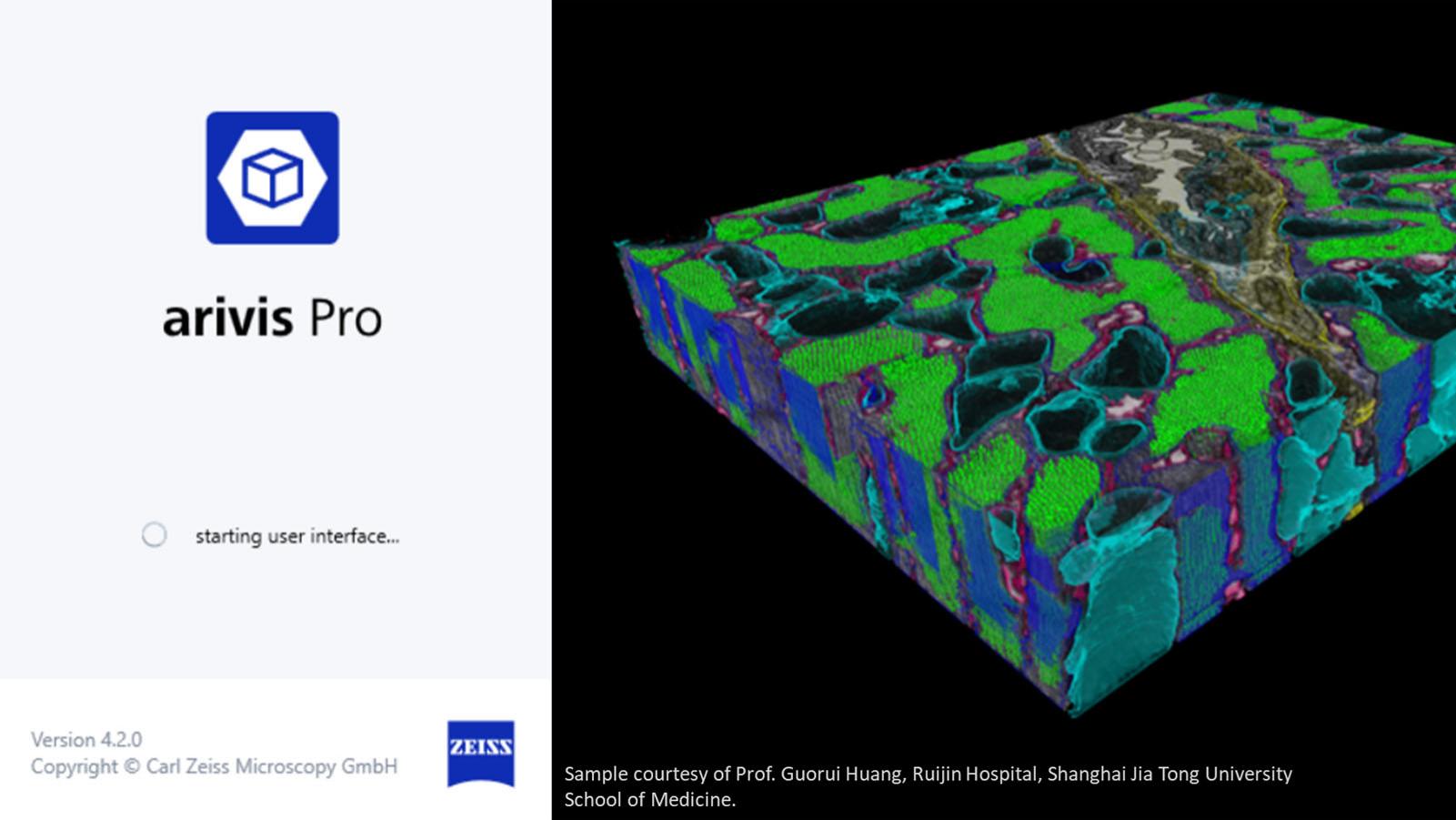 3D volume rendering of segmented mouse muscle ultrastructure overlaid on the original EM data.