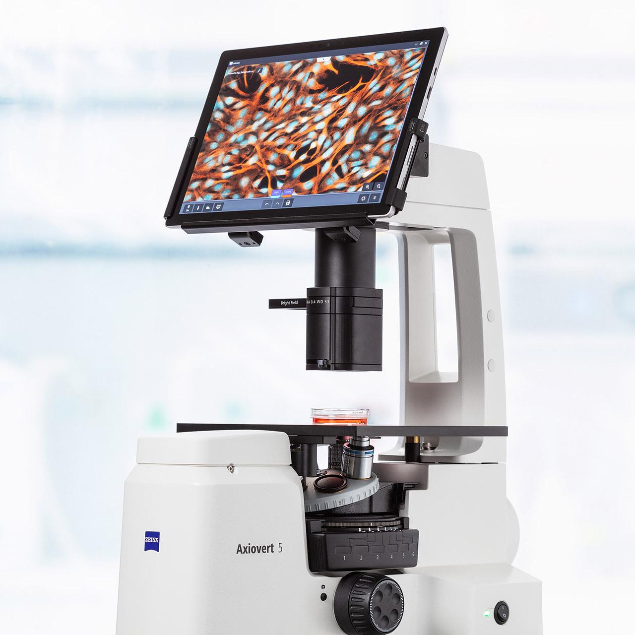 Product photo: ZEISS Axiovert 5 digital uses artificial intelligence (AI) and automatic functions to ease daily work in the cell lab.