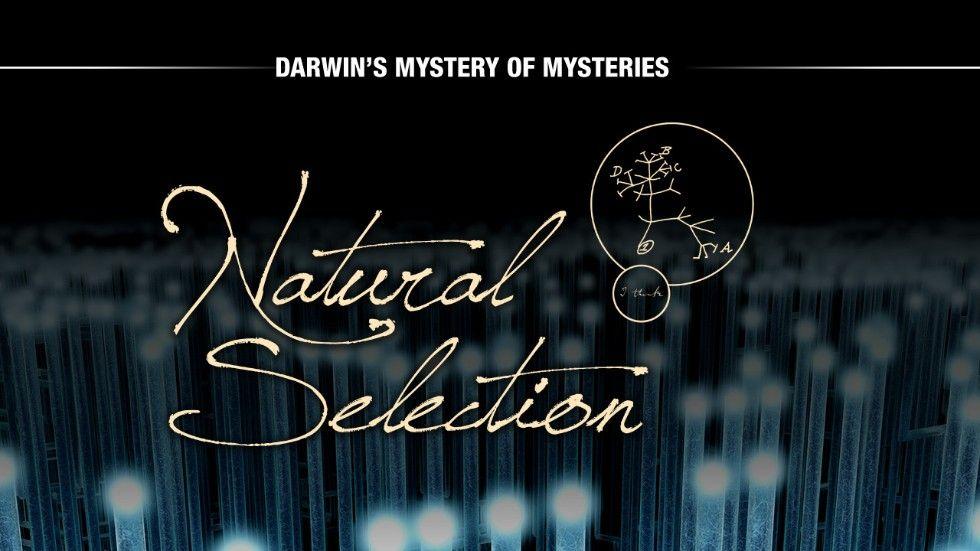 Natural Selection