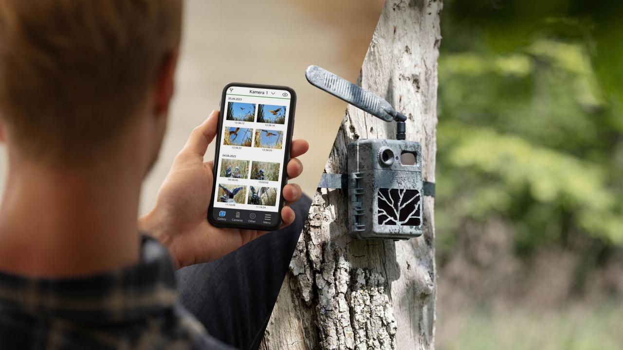 Una persona esamina le foto di animali selvatici scattate da una fotocamera da esterno ZEISS, mettendo in mostra la tecnologia avanzata della fotocamera e la connettività mobile senza interruzioni in un ambiente naturale all'aperto.