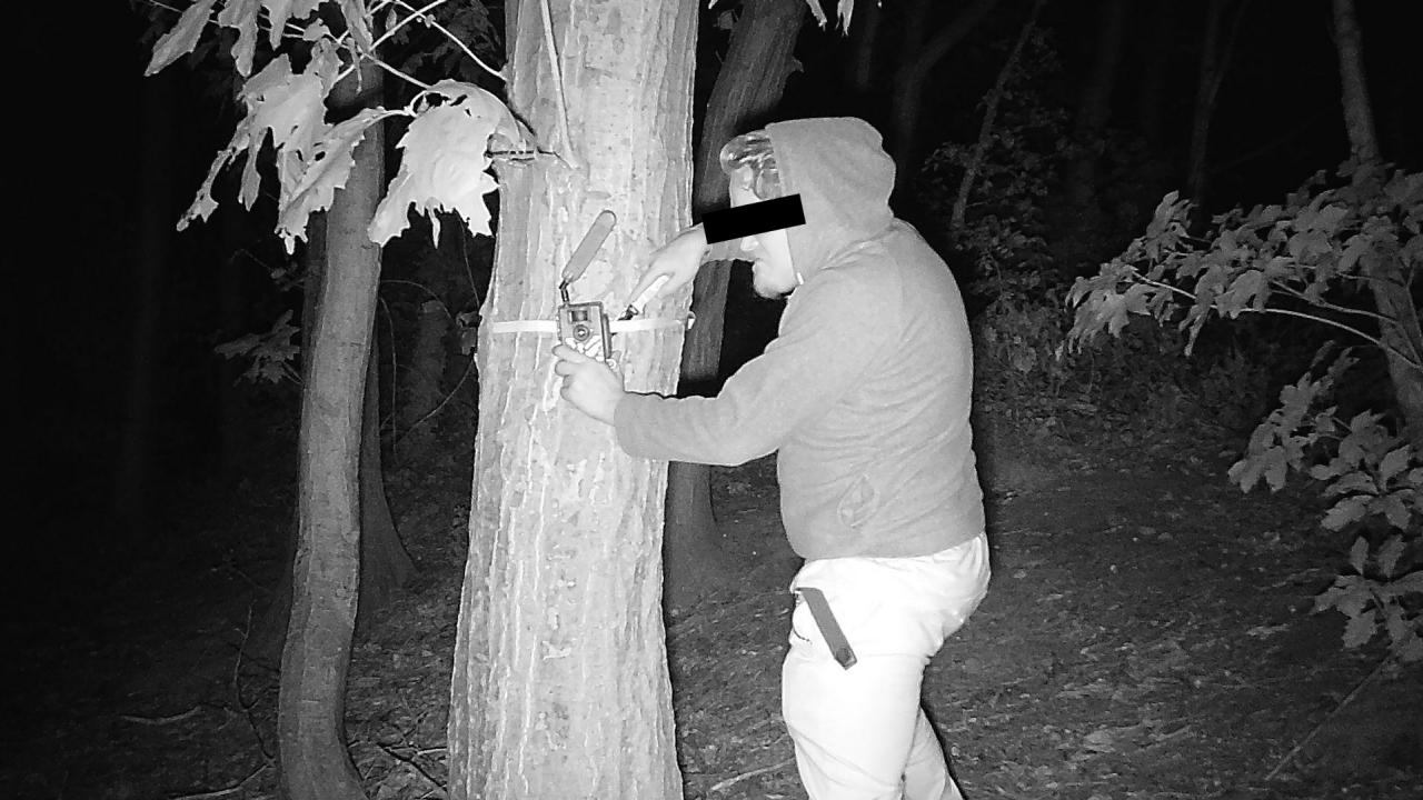 Un'immagine notturna, catturata da una termocamera ZEISS, mostra una persona che ruba una telecamera da caccia e la installa su un albero in una foresta.
