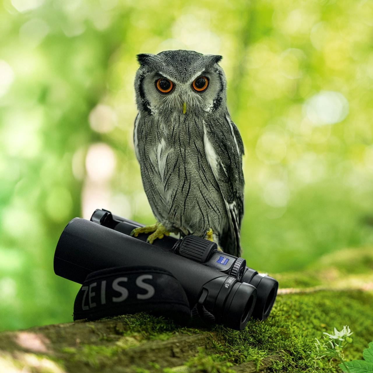 ZEISS Victory SF | The top model from ZEISS