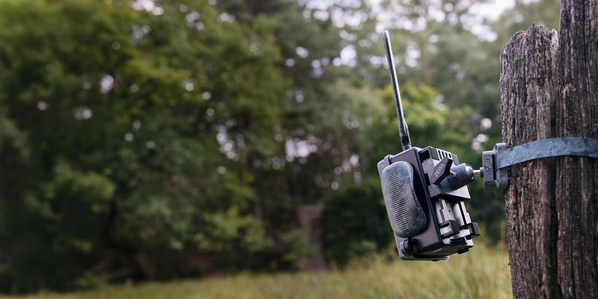 Un uomo vestito con abbigliamento da esterno installa una fotocamera da caccia ZEISS su un albero accanto a uno stagno nel bosco.
